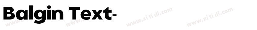 Balgin Text字体转换 Balgin Text字体转换
